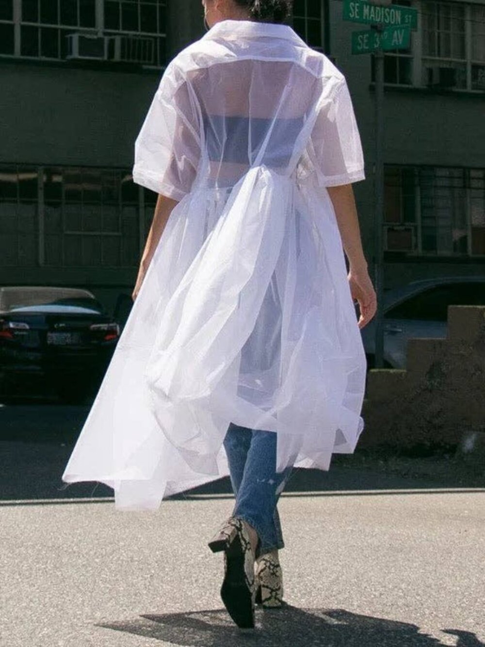 Sheer Dress